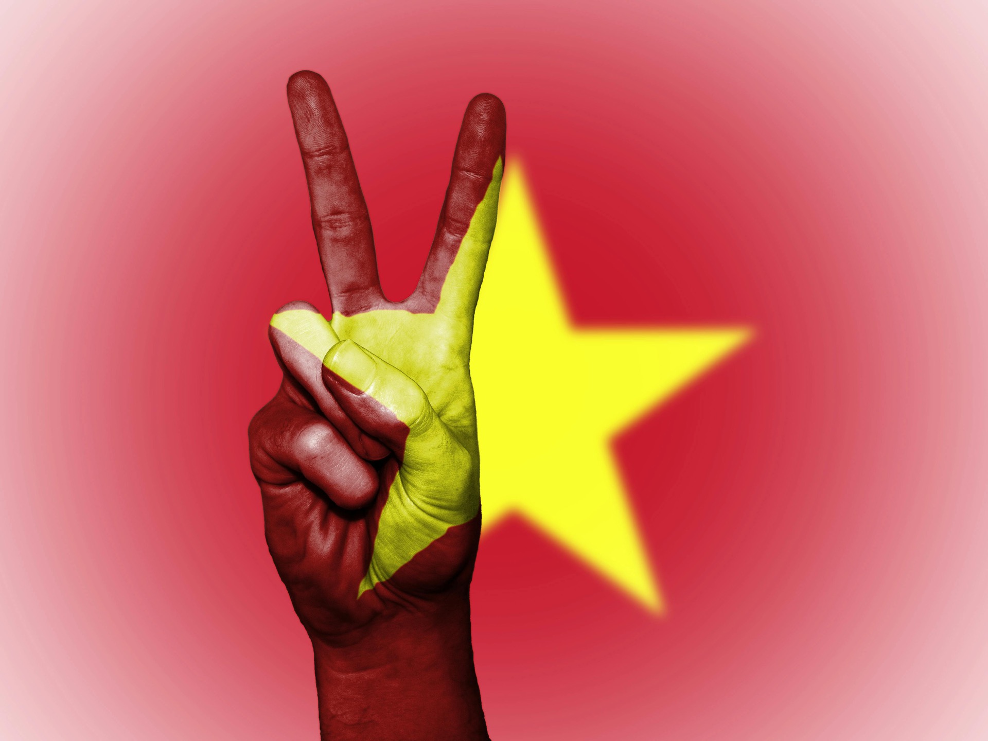 Vietnam Flag